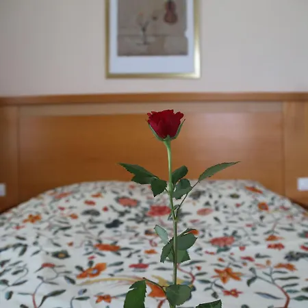 Thea Am Rosengarten 3* באד קיסינגן