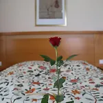 Thea Am Rosengarten 3* Bad Kissingen